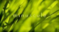 خیلی خیلی کوچک (2) (ماموریت: باربکیو)